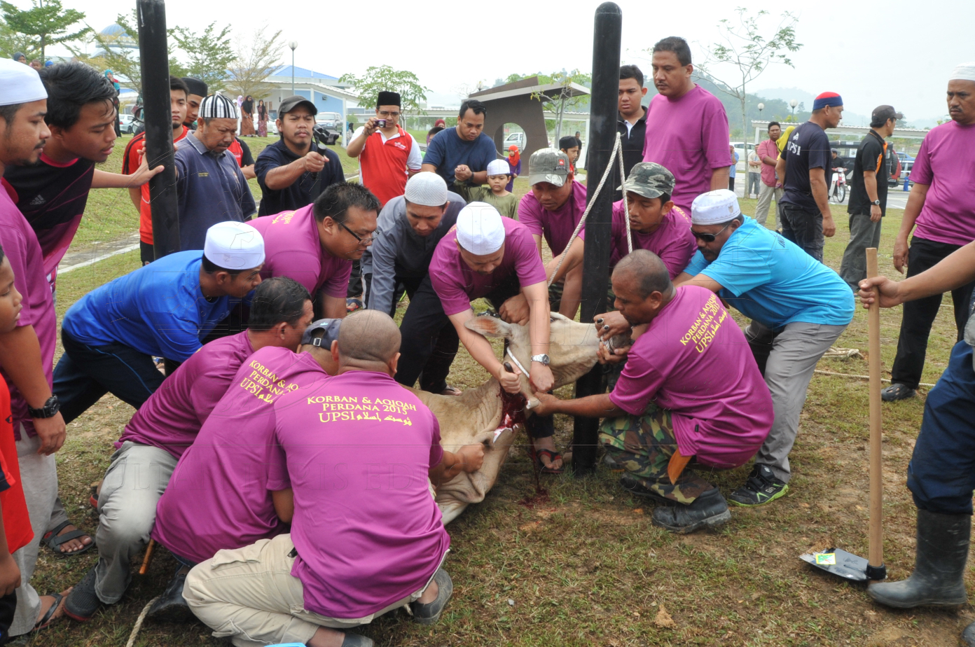 PRO15 150 KORBAN HAS 6708